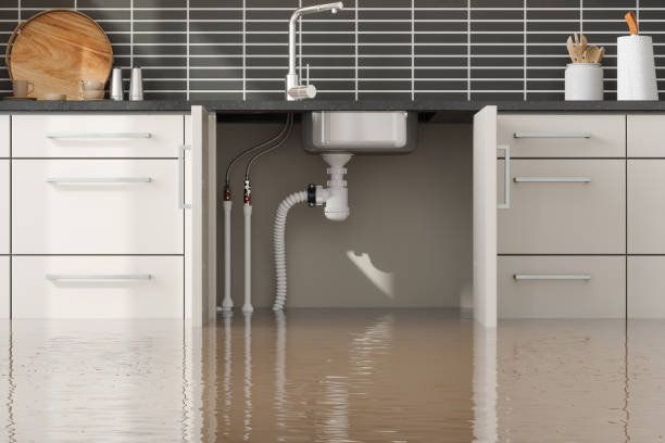 Trusted Water Damage Restoration in Caldwell, ID | Fast, Reliable, and Ready to Assist You